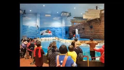 老年|春节去哪玩丨长沙生态动物园等你来