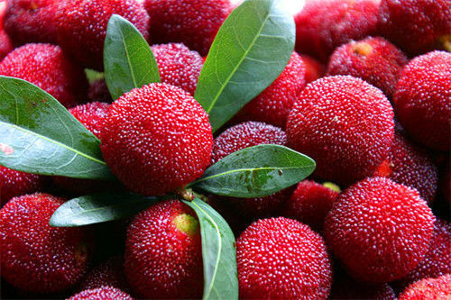 食物|人到中年想长寿，不妨多吃3种食物，营养丰富，排毒瘦身