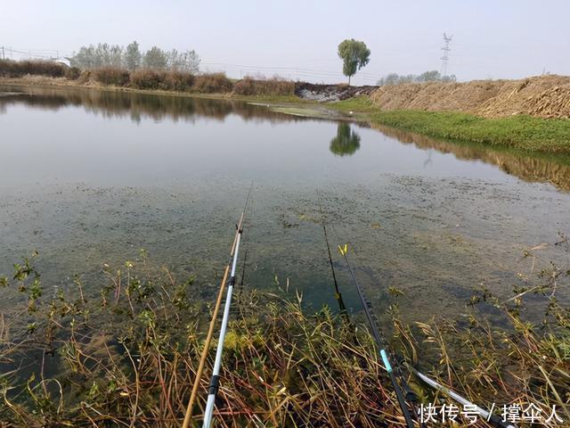 鱼儿如何寻找越冬地点,天气再冷也能爆护---皇禾钓具