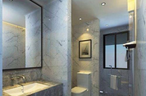 隔断|头次见到卫生间这样做隔断的，太聪明了，以后我家也这样装