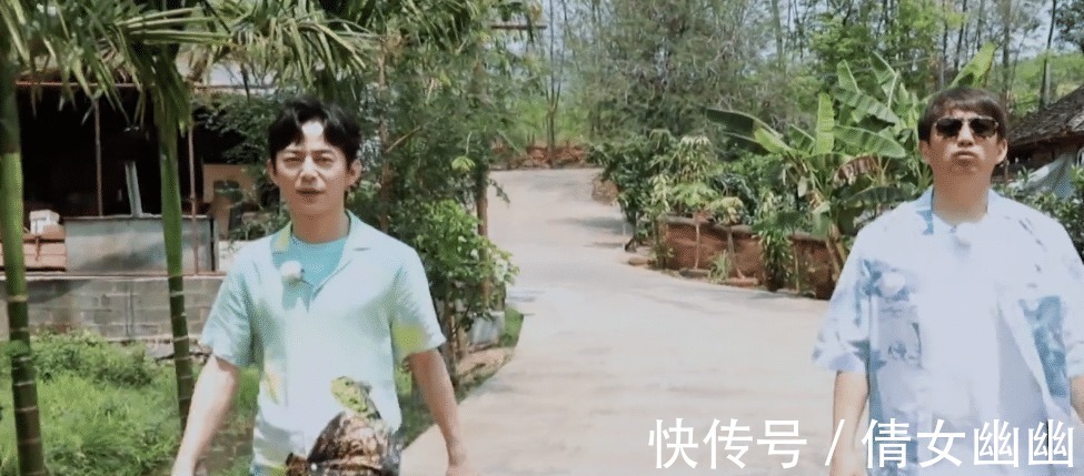 節(jié)目組|黃磊發(fā)現(xiàn)摘椰子神器,節(jié)目組都慌了!得知工具實際用途用心良苦