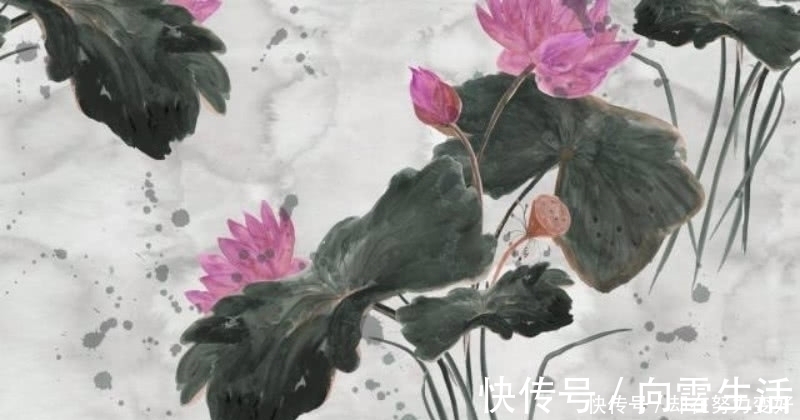 诗人&杨万里最唯美的一首诗,短短的四句,却是写出了世间最美的荷花!