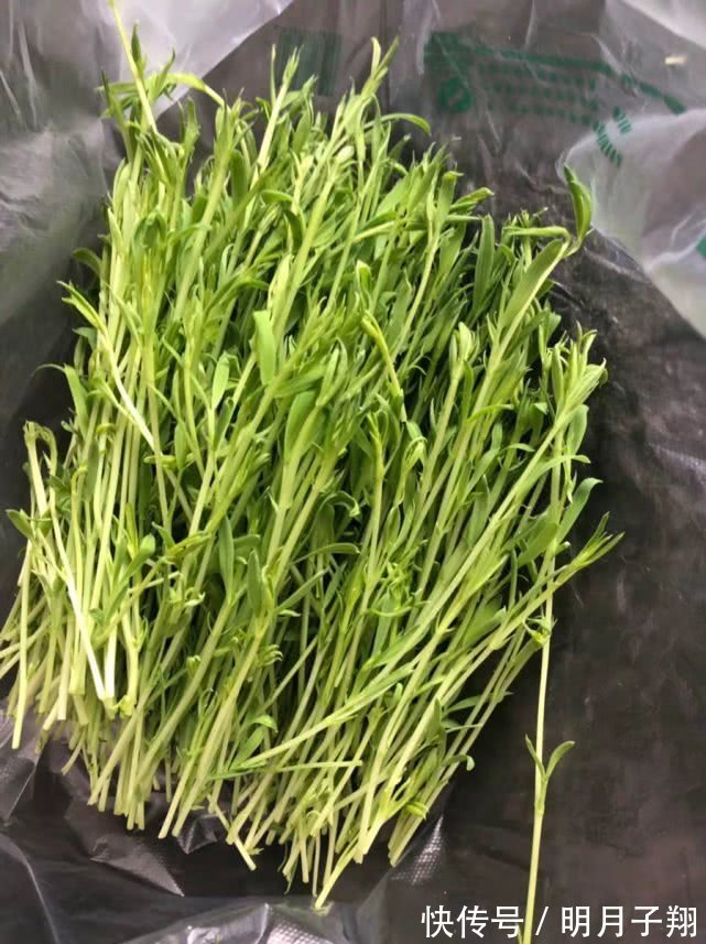 羡慕别人瘦,不妨多吃此菜,降火清肠排宿便,越来越瘦,小肚平坦