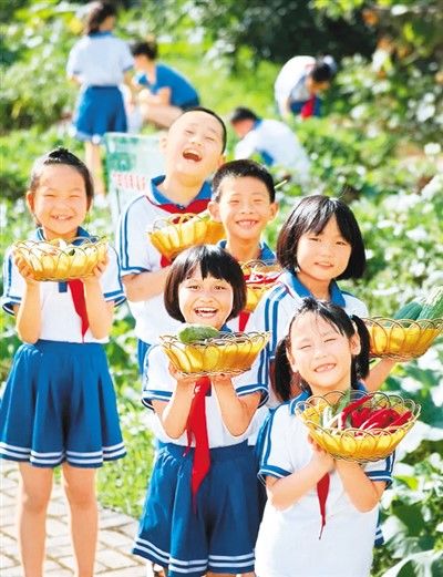 融水苗族自治县|一幅乡村振兴的生动画卷