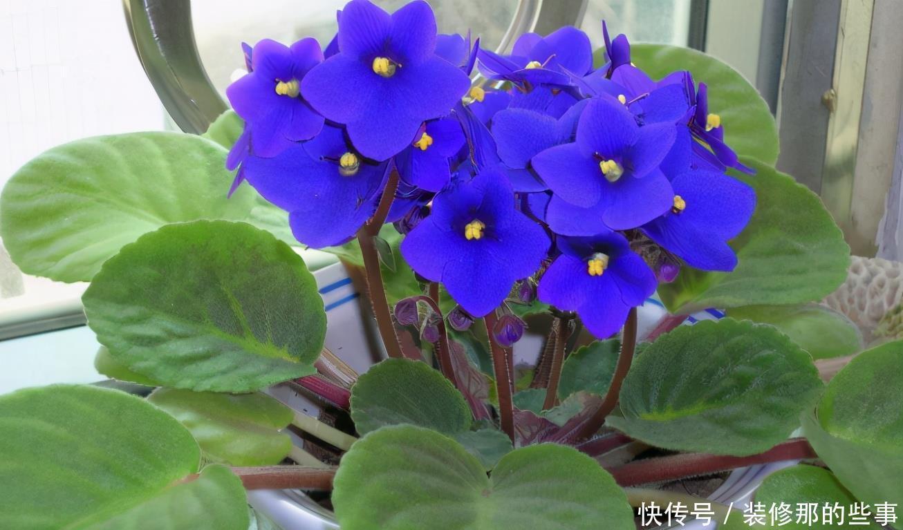 油烟机废油入土前需要做哪些处理,为养花人,该早点知道