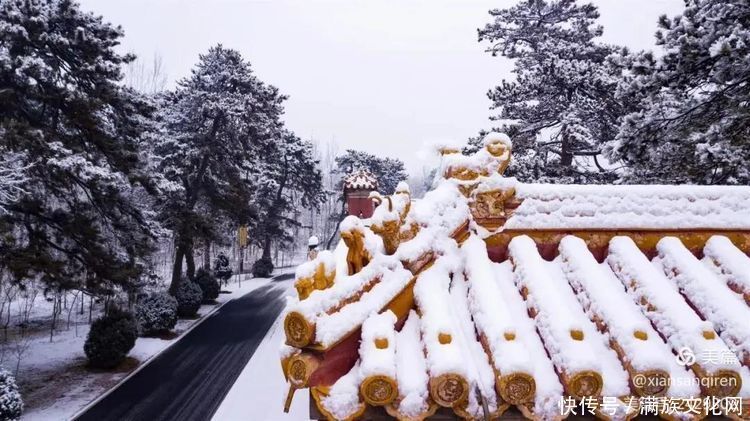 冬日的清西陵等你来看雪