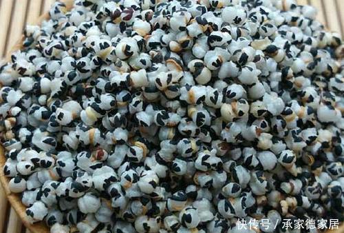 农村|虽有王命,不留其行!农村常见的麦蓝菜,为何叫“王不留行”?