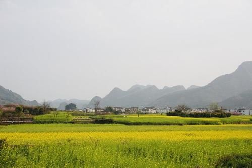 一次说清万峰林的门票问题，不负春光不负卿