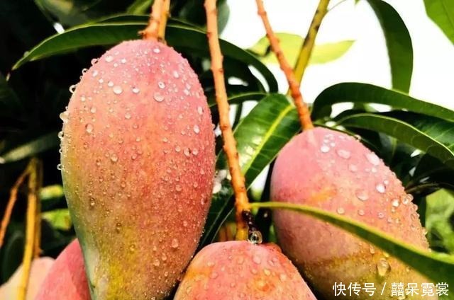 人到中老年,不管有钱没钱,建议常吃这3种食物,比保健品强多了!