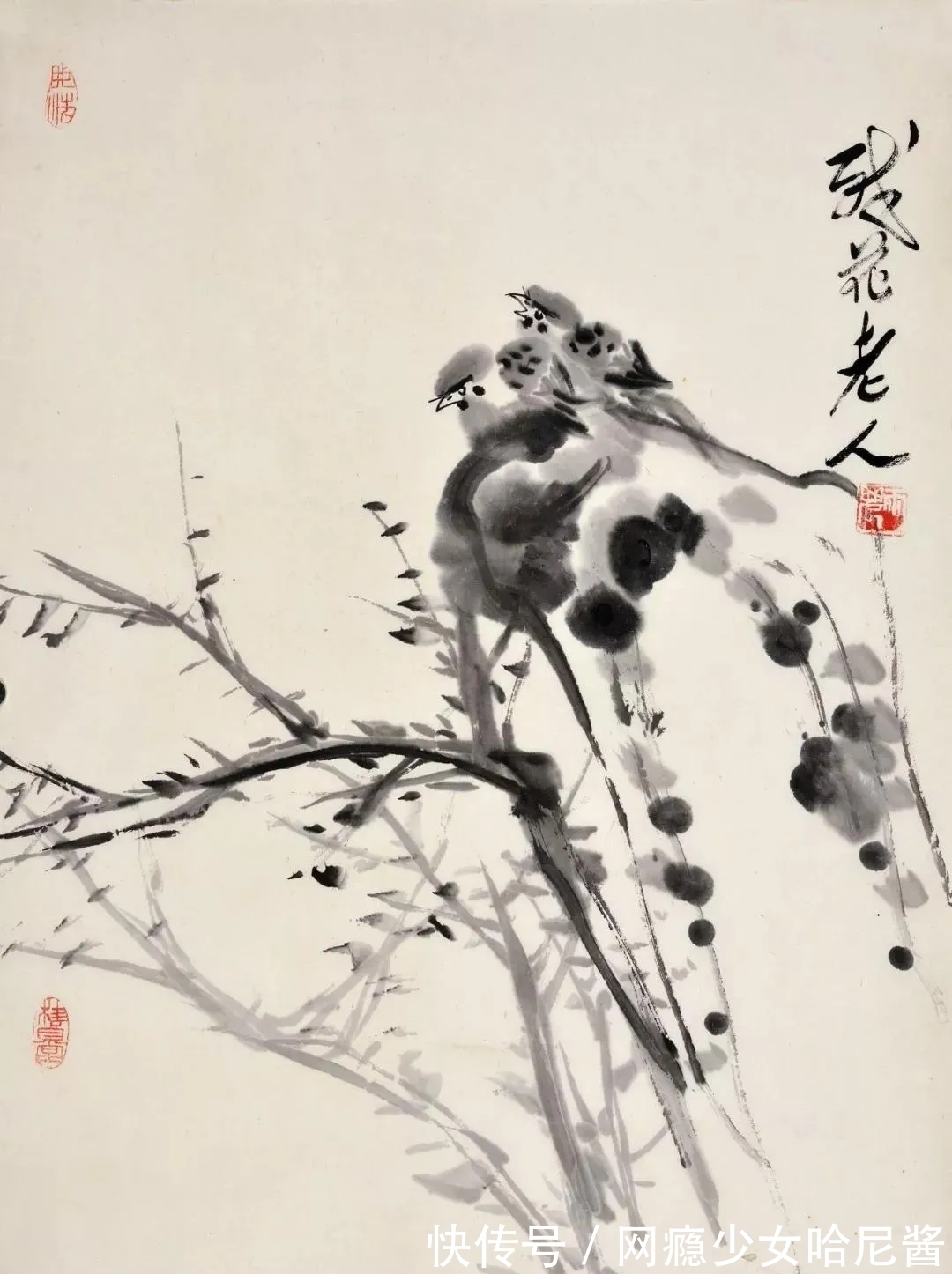 花鸟画@随心所欲、自然天成｜蒋雨浓写意花鸟画