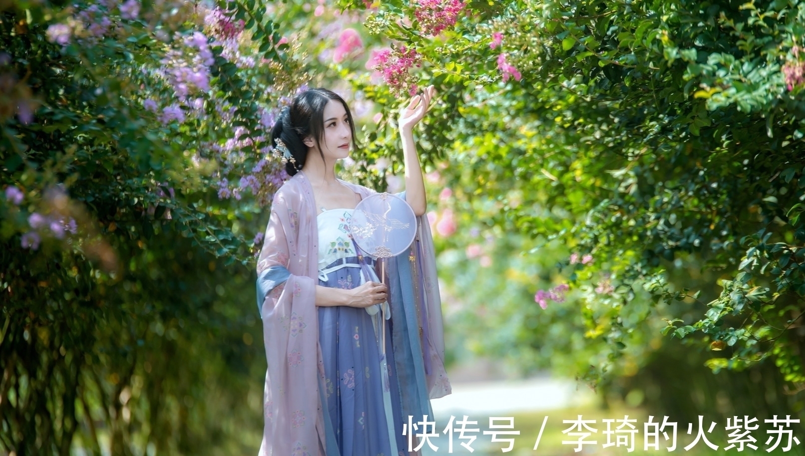 雪中梅!七言格律:偶到山洼朝下走,运来峰顶往高枝