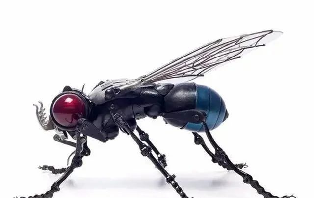 完美|艺术家变废为宝,将各种垃圾收集起来,创作出了完美的艺术品