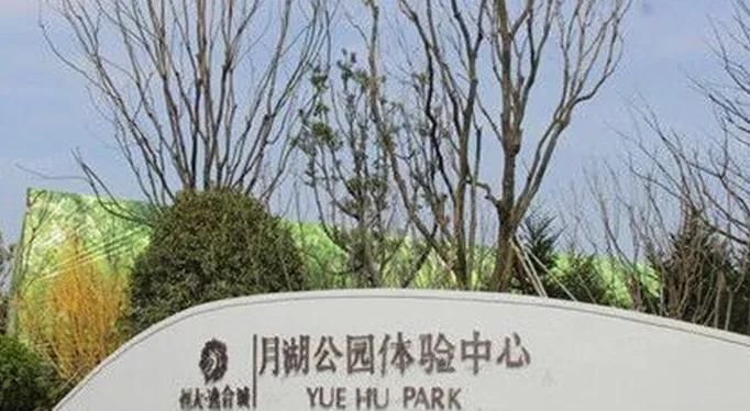 恒大地产|龙港恒大逸合城业主购房交首付后半年办不了手续,非常担忧