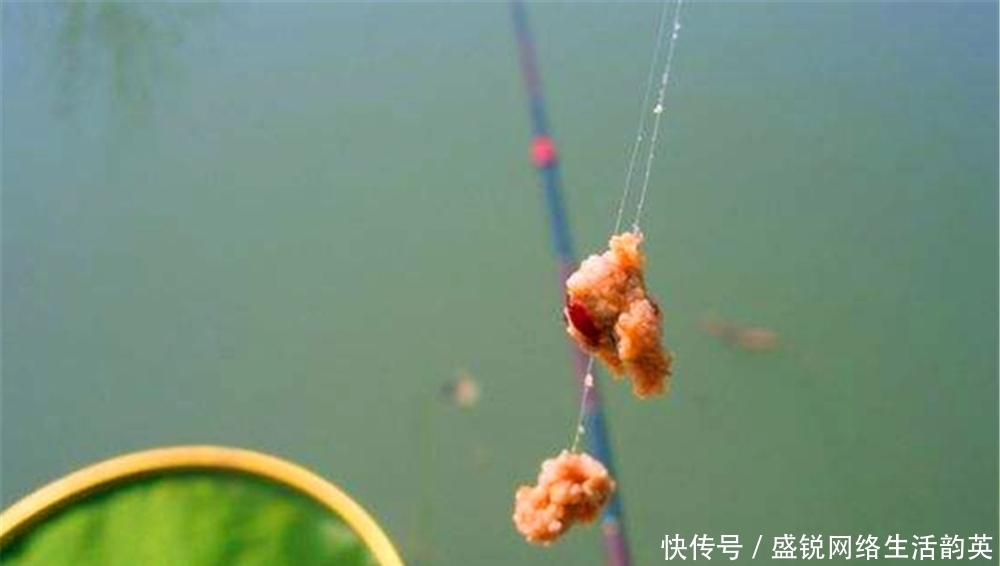 软尾|浮漂长尾、粗尾、软尾,这些漂尾“特殊”的浮漂,调漂用不同方法
