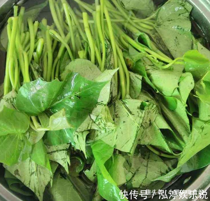  好吃|这菜好吃不贵，隔夜排宿便，刮油瘦肚子，早吃早受益
