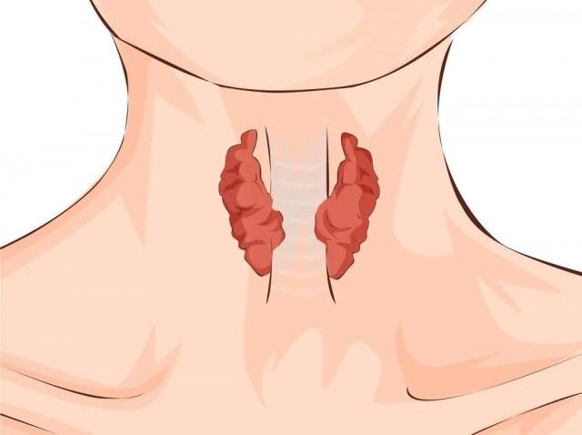 北京大学第一医院|比周围人「怕冷」的你，该查查甲状腺了