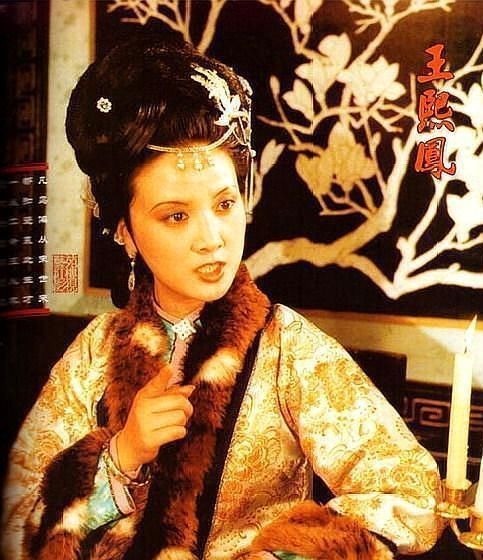 薛姨妈@贾府有一位真正的名媛,见惯了大世面,王熙凤在她跟前就是小儿科