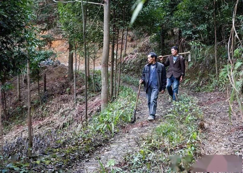 银山|绿水青山就是金山银山︱他把绿色风景变成“绿色银行”！十分给力！