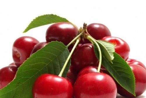 皱纹|冬天了，不妨多吃的食物，皱纹没了，色斑淡了，越吃越年轻