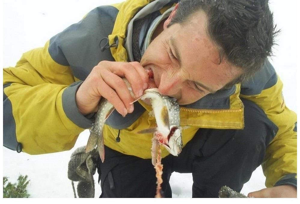 腸道感染|當(dāng)年“什么都能吃的”貝爺，曾經(jīng)紅極一時，為何突然消失了？