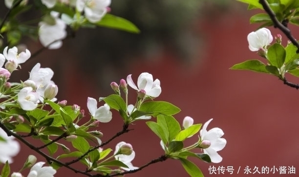 一生|一生“大富大贵”的3大生辰吉日，子女龙凤呈祥，晚年不愁吃喝！