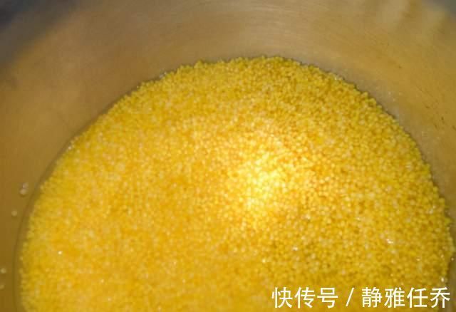 小米|熬小米粥时，外行人只会用清水，牢记这3点，粥香浓黏稠，米油厚