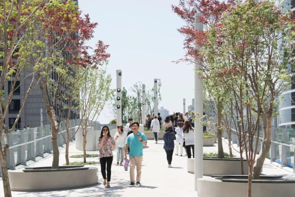  城市|“ 天空山谷 ”