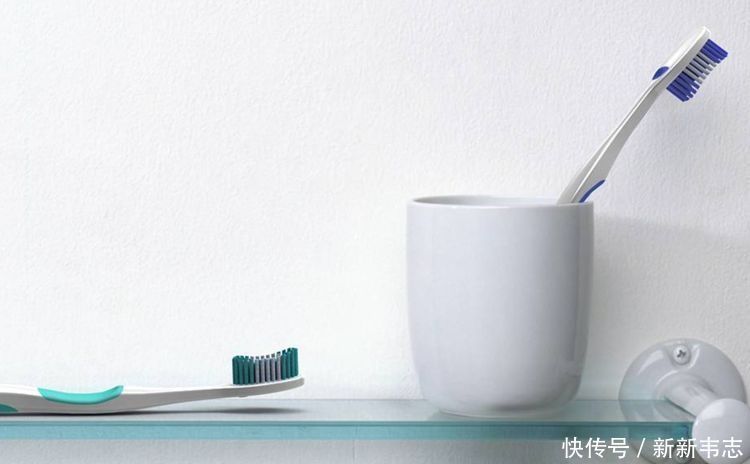 有福|孩子身上有这四种“癖好”，家长有福了，说明孩子智商高