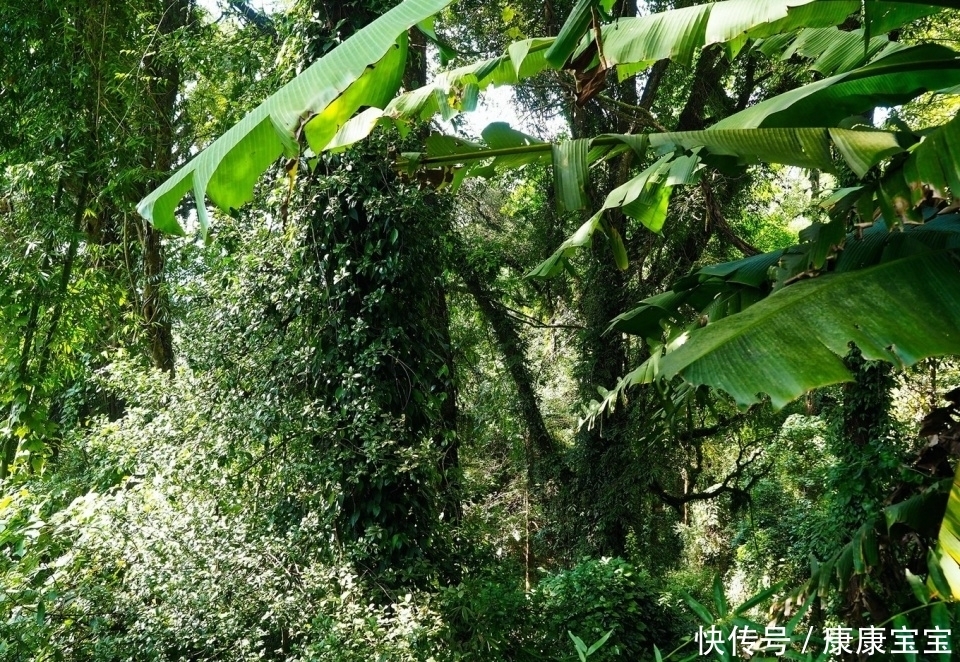 中缅边陲的小山村，曾经贫穷落后，因一位贵人造访如今成为网红地