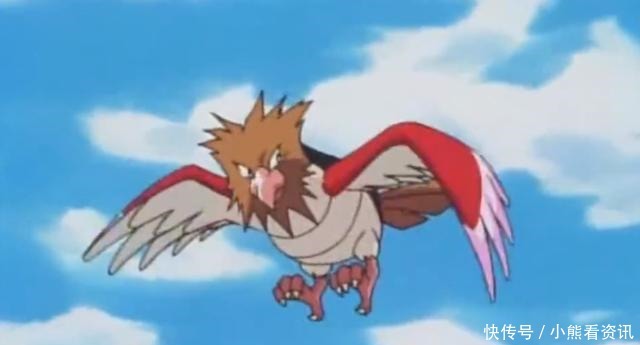 地区的家门|神奇宝贝种族值最低的十种飞行系宝可梦,小智大部分都有
