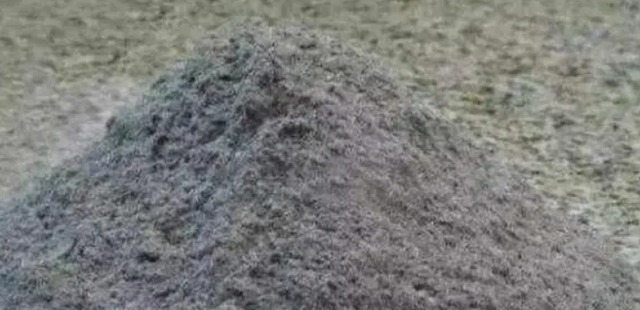 草木灰可以直接拌土用养花吗?