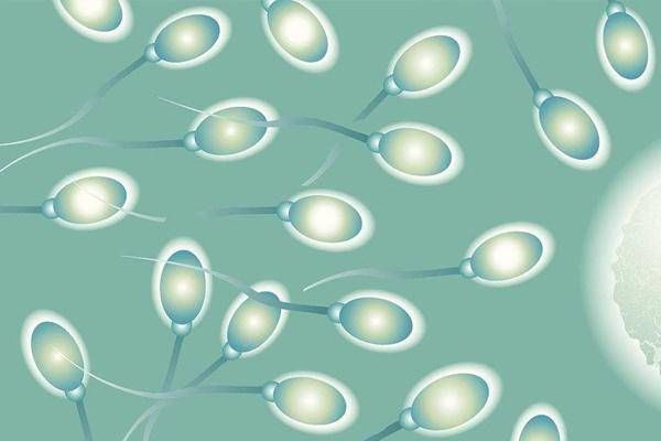 精子|男性不穿内裤睡觉，或迟或早会收获三个好处