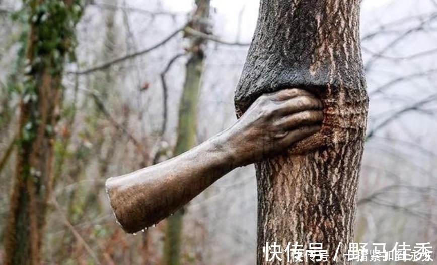 吉塞普#世界上最孤独的手,握着一棵树50多年,从来没有松开过!