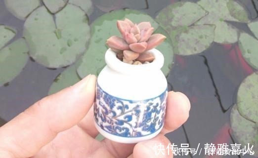 切割机|花盆买不起，自己动手做，好看又实用！花盆买不起，自己动手做，好看又实用！