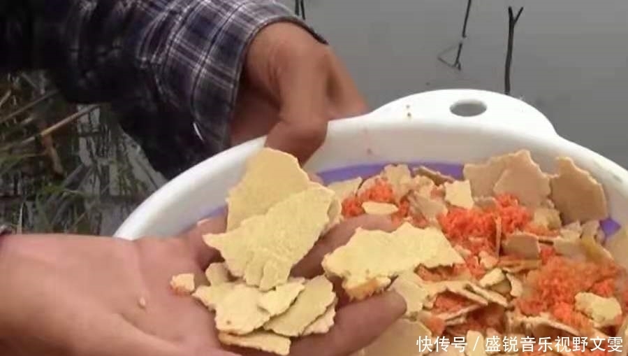 饵料|一遇水流就想收竿不钓?别傻了,试过这3招的人,绝非等闲之辈