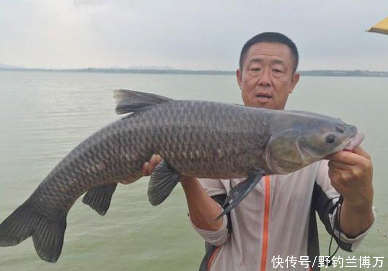 水域|李大毛所到之处：“水涨船高”，其实并非如此，不要被表面所蒙蔽