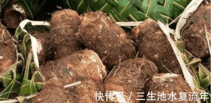 致癌物质|患了癌症不用慌, 常吃这些小食材, 癌细胞或许会和你说拜拜