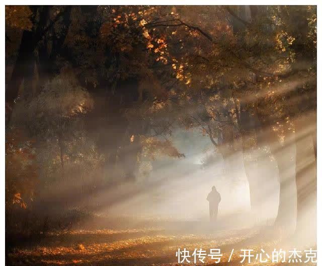 教育|有远见的父母,懂得在这3个方面给孩子自由,你做到了吗