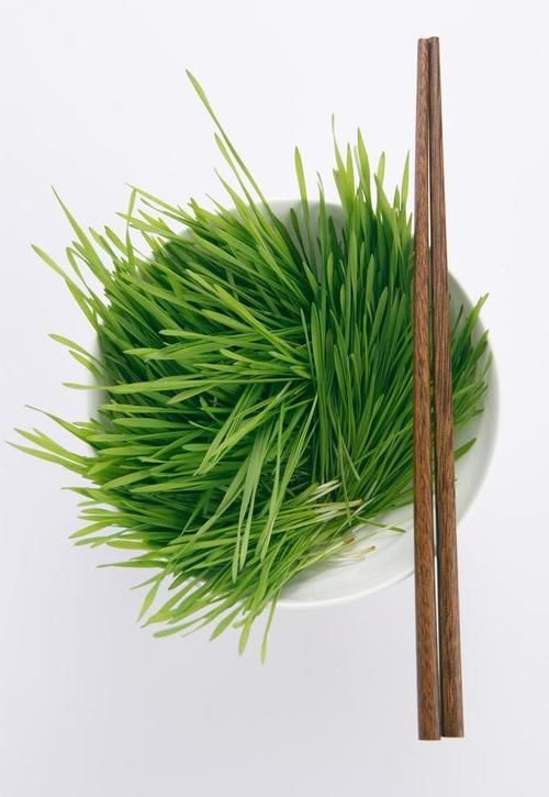 王女士|长期喝酸奶会对肝脏产生影响吗?听医生怎么回答,早了解早受益