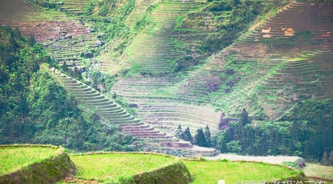 农村俗语:“屋后有靠生万福,田边有靠苦农夫”,有道理吗?