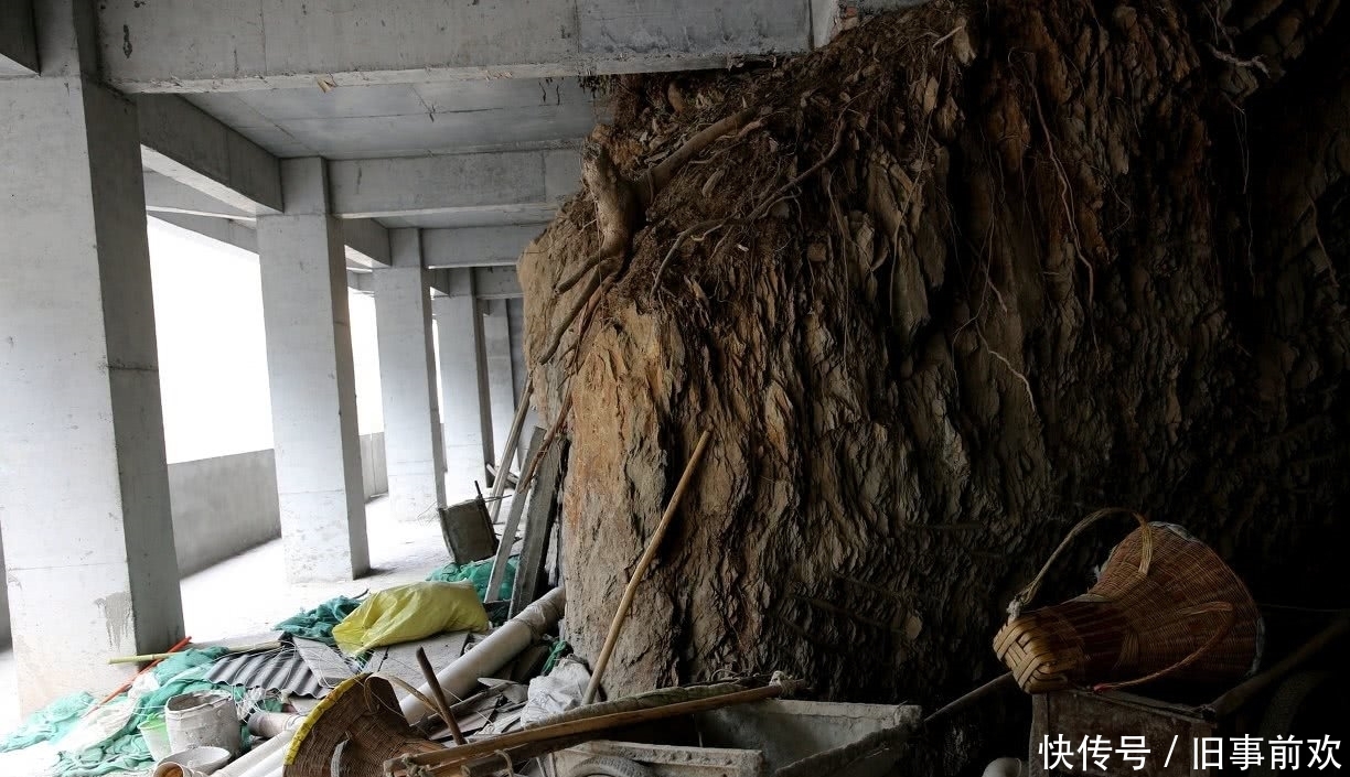 生意|男子四年时间，花六千万把一座大山盖进楼里，走近室内一瞧不得了