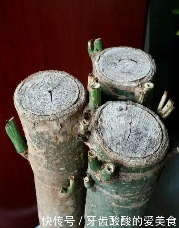 花草冻伤了及时修剪,别舍不得,越早越好