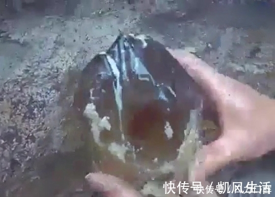 钓鱼|男子野外挖蚯蚓钓鱼，发现一块“黄”石头，令他高兴不已