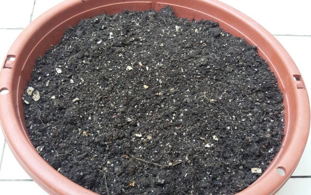 花盆里放一个小玩意,盆土常年透气不板结,盆栽长得壮开花多