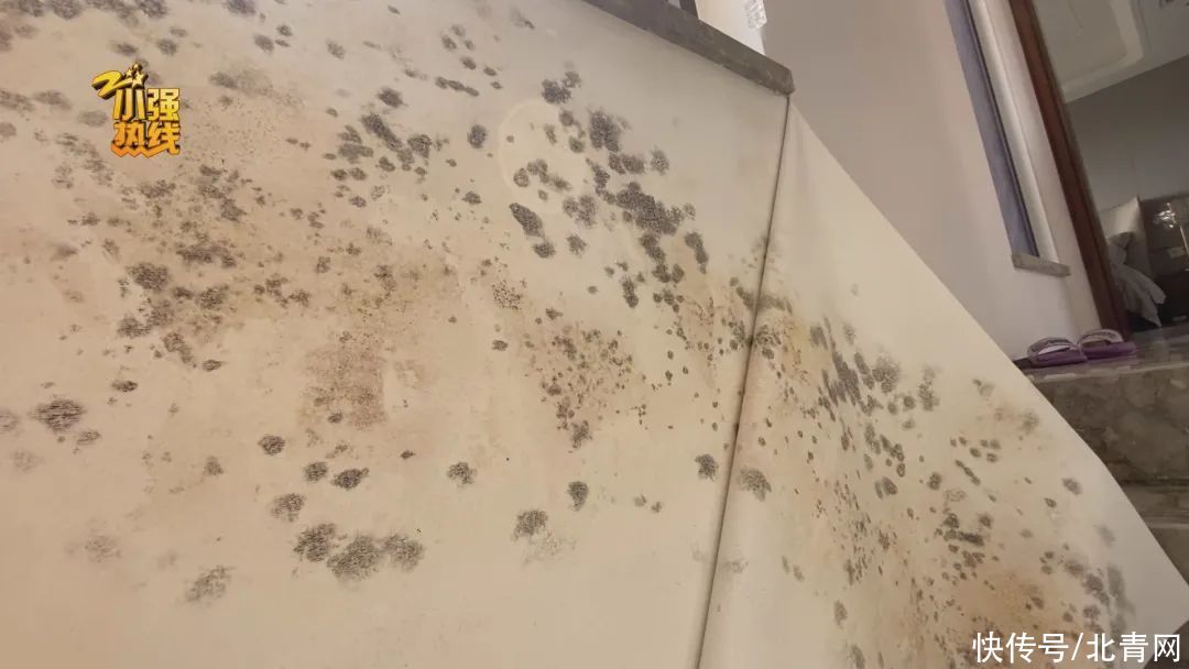 面积|糟心!杭州女子花近800万买的跃层,却没想到60%面积发了霉
