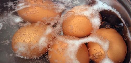 不想身体患病，多吃几种好食物，滋养肝肾，补血润肤，提高免疫力