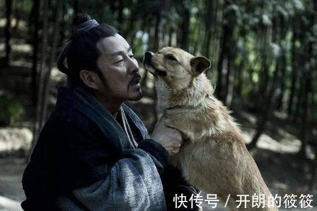 古代|古代没有狂犬疫苗，被狗咬伤咋办有一土方，一千多年前就在用