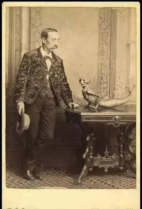 日本收藏的“龙”标本,背后不可告人的历史…