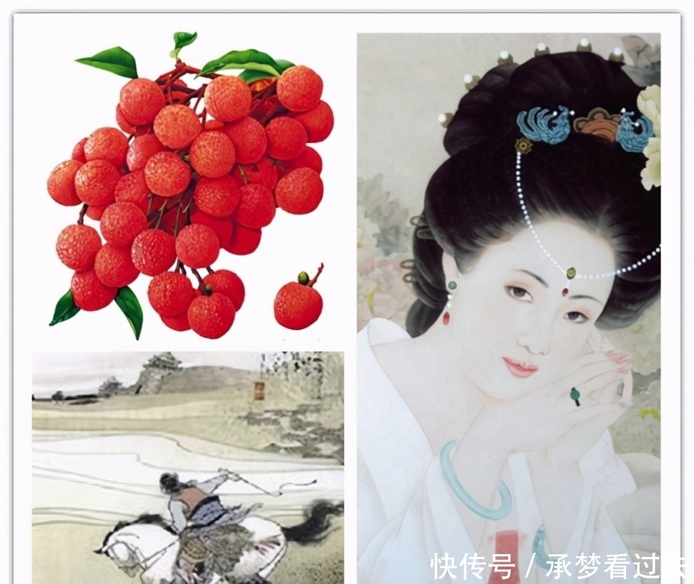 小哥|唐朝的快递小哥是怎样给杨贵妃送荔枝的