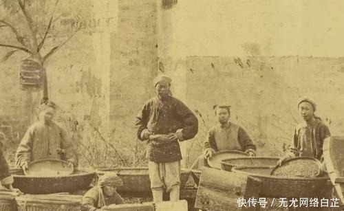 一老道士,随口对洋人说了句话,让中国茶叶彻底失去世界垄断地位